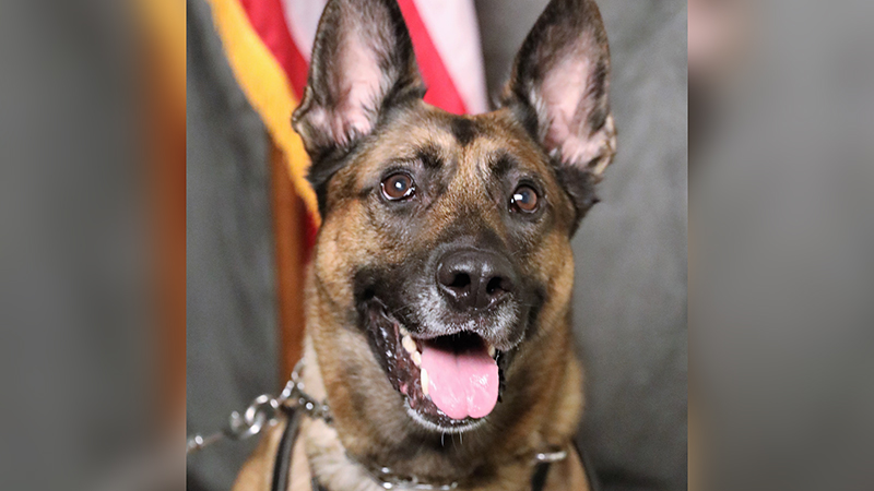 Tip-A-Hero” Event Raises Money for K-9 Training Feb 9