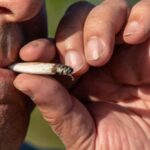 Recreational Pot Proposal Clears Initial Hurdle