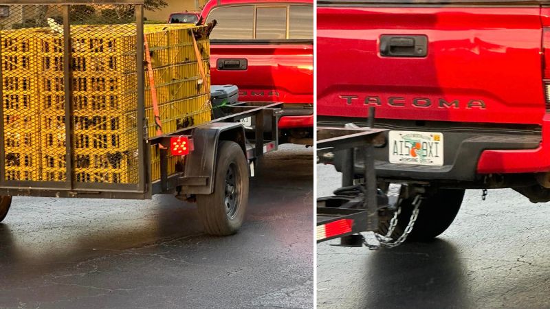 Horror in Tamarac Community: Muscovy Ducks Brutally Killed, Resident Wants Justice for the Gruesome Act