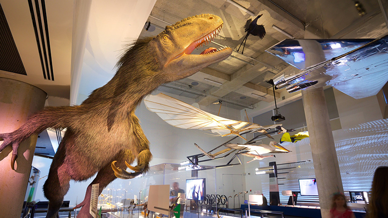 Join the Hunt for Dinosaurs: Learn from Expert Paleontologist at Florida Trail Association's Monthly Meeting