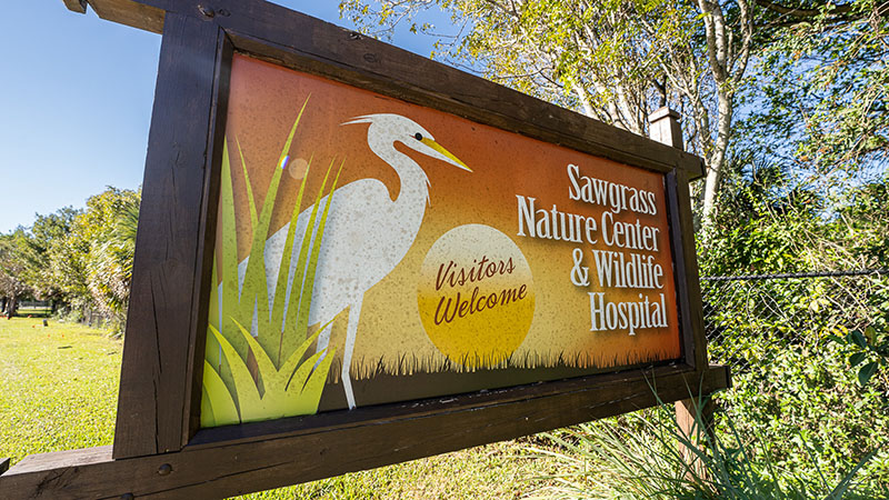 sawgrass nature center