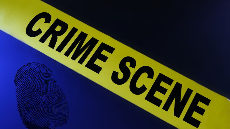 Homeless Encampment Unveils Mysterious Human Remains