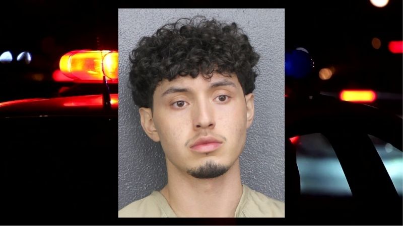 Courageous Car Owner Catches Crafty Culprit