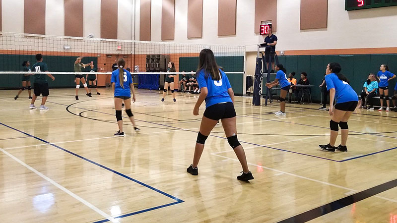 Summer Creek Volleyball Club Kicks Off Season with Open Play for Adults