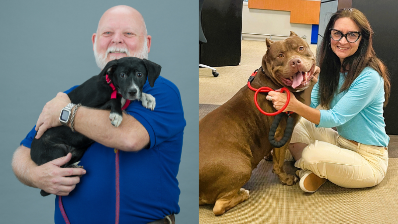 Broward animal care and humane society