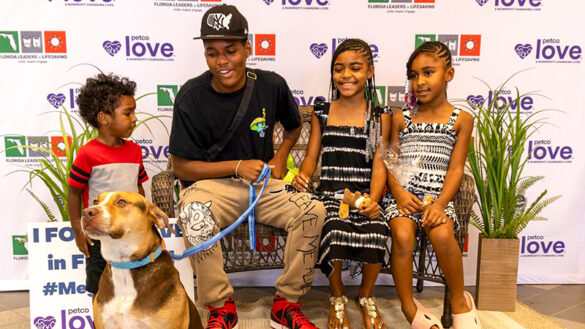 Dozens of Dogs Seeking Forever Homes During Petco Love Mega Adoption Event